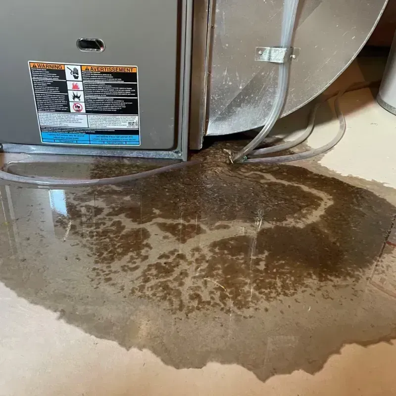 Appliance Leak Cleanup in Hamilton, MO